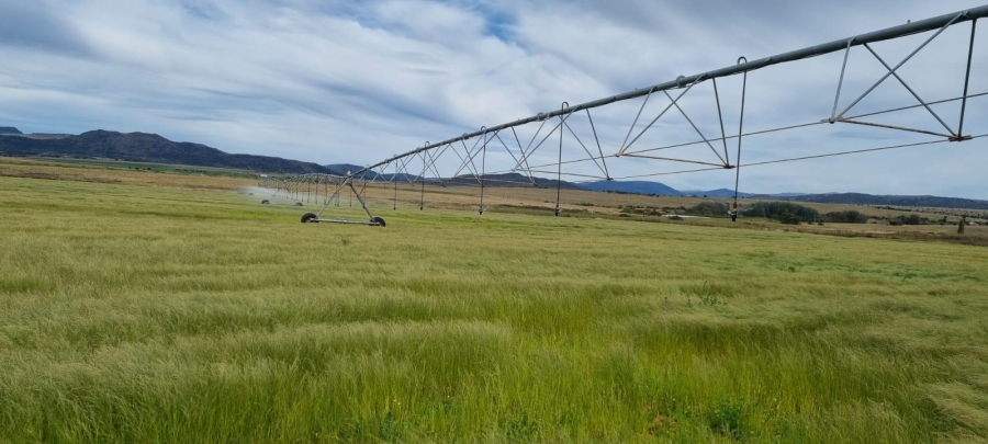 4 Bedroom Property for Sale in Queenstown Rural Eastern Cape